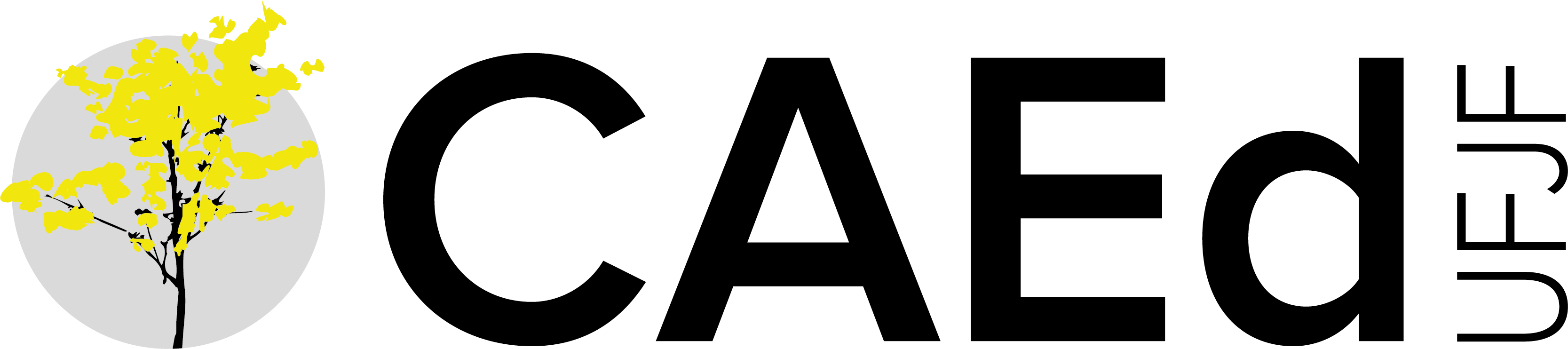 CAEd UFJF